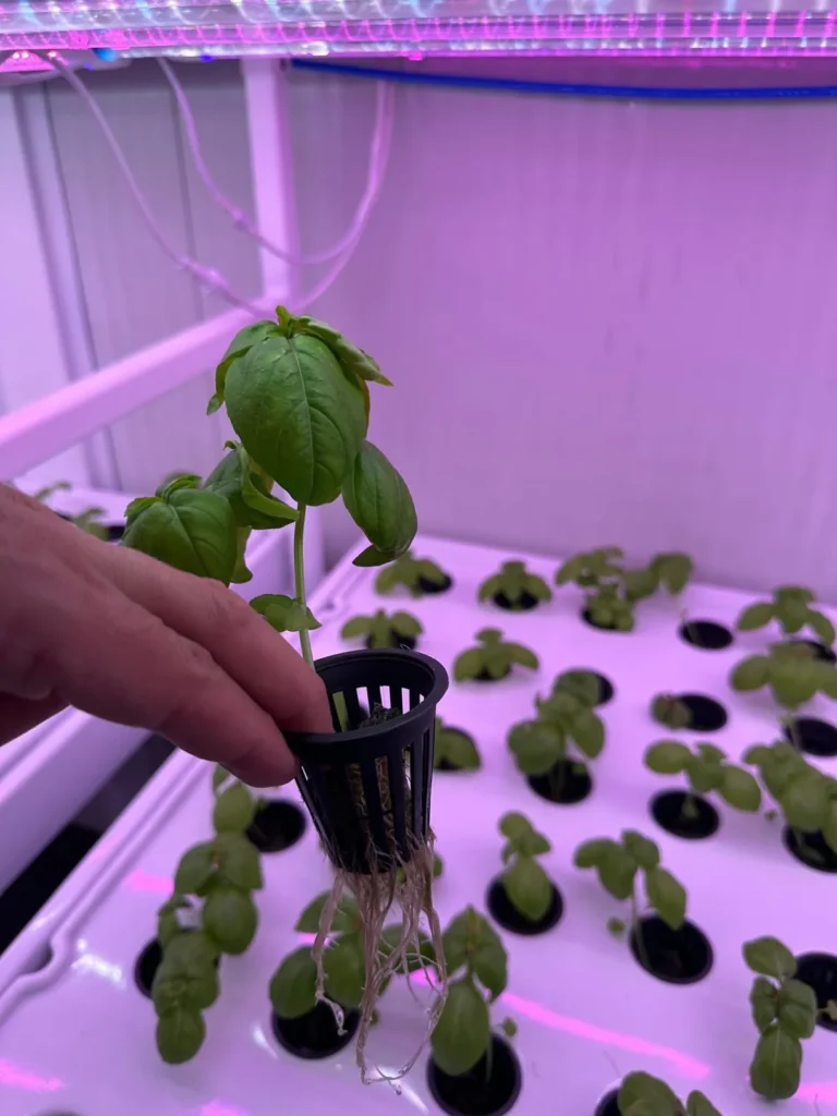 Vertical Agriculture1