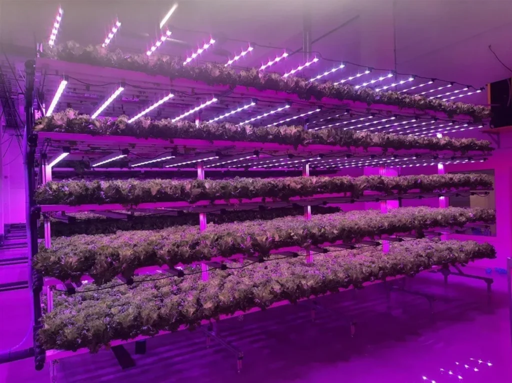 Vertical Agriculture2