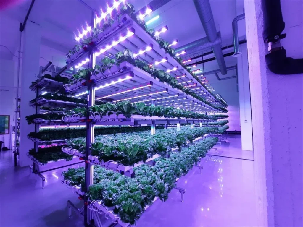 Vertical Agriculture3